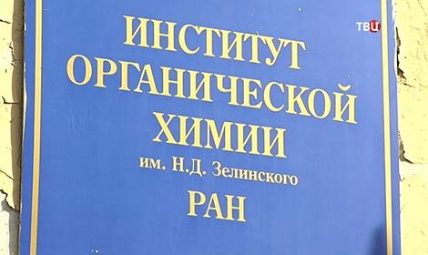 Российские ученые синтезировали лекарство от рака из укропа и петрушки