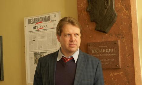 России грозит «стеблевая ржавчина»: старая болезнь губит пшеничные поля