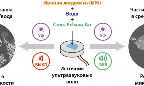 Ультразвук под микроскопом – как механические волны контролируют реакционную способность в жидкой среде