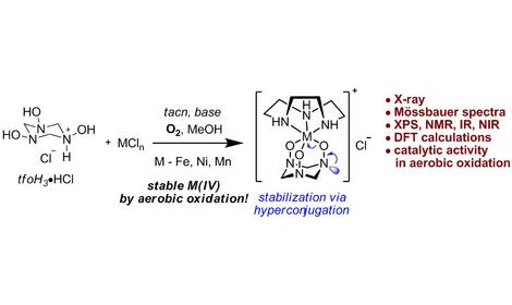 Исследователями ИОХ РАН впервые установлена структура формальдоксимных комплексов переходных металлов