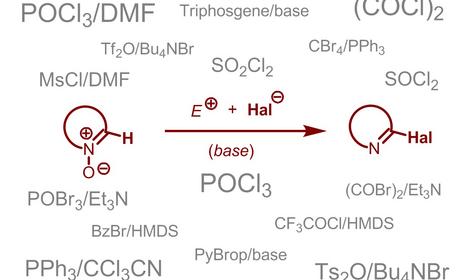 Исследователями ИОХ РАН опубликован обзор, посвященный нуклеофильному галогенированию гетероциклических N-оксидов
