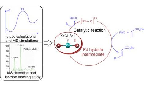 Исследователями ИОХ РАН проведено первое систематическое исследование нестабилизированных гидридных палладиевых частиц