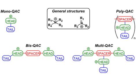 Учеными ИОХ РАН опубликован обзор, посвященный четвертичным аммониевым соединениям и ионным жидкостям, обладающим антимикробным действием
