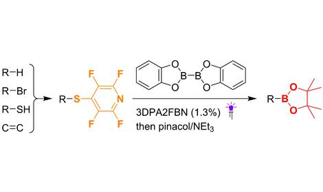 В ИОХ РАН предложен фотокаталитический метод получения эфиров бороновых кислот