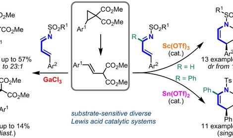Исследователи ИОХ РАН продолжают изучение химических свойств донорно-акцепторных циклопропанов