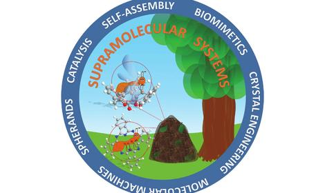 Супрамолекулярный день в ИОХ РАН