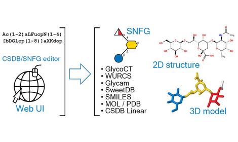 Исследователи ИОХ РАН создали онлайн-редактор углеводов