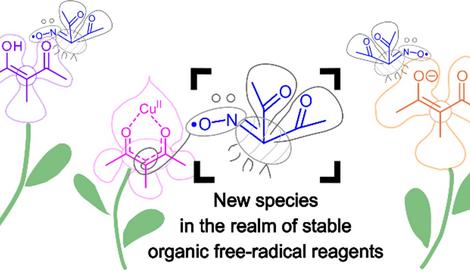 Учеными ИОХ РАН предложен новый свободнорадикальный реагент для окислительного C-O сочетания и исследования механизмов свободнорадикальных реакций