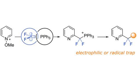 В ИОХ РАН разработан селективный метод фторалкилирования азин-N-оксидов