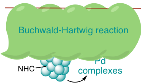 Учеными ИОХ РАН подробно изучен механизм реакции Бухвальда-Хартвига