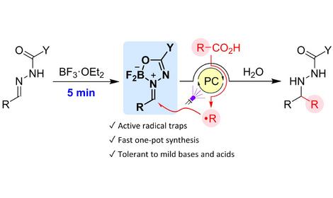 Исследователями ИОХ РАН разработан метод фотокаталитического присоединения к C=N связи