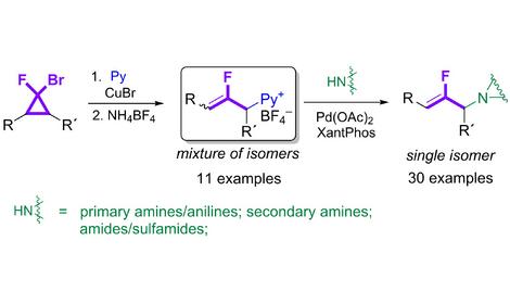 В ИОХ РАН получены новые стабильные 2-фтораллильные электрофилы