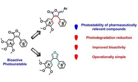 Учеными ИОХ РАН синтезированы фотостабильные аналоги комбретастатина А4 с антипролиферативной активностью