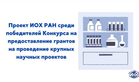 Стали известны итоги конкурса на предоставление грантов на проведение крупных научных проектов. Среди победителей — ИОХ РАН